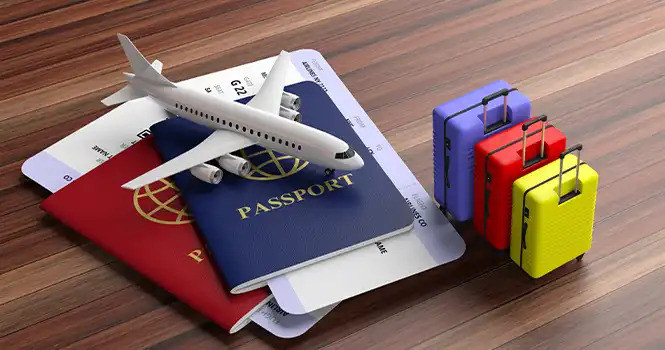 Immigration Consultancy